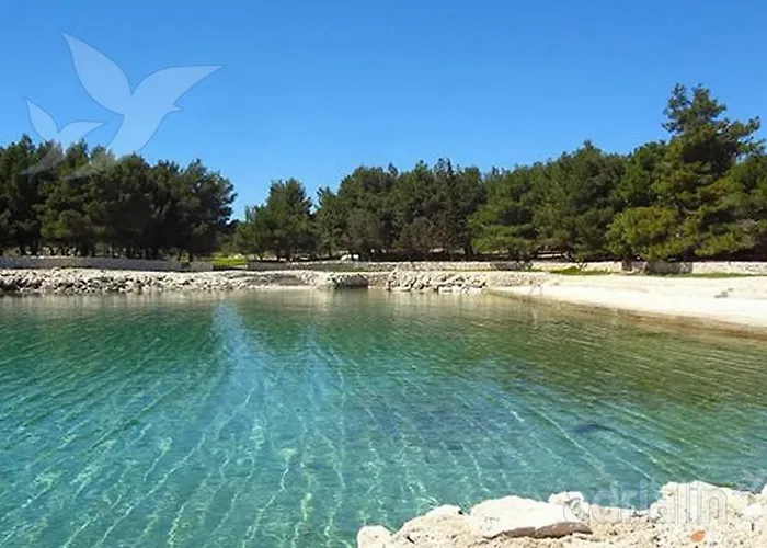 Mam Mali Lejlighed *